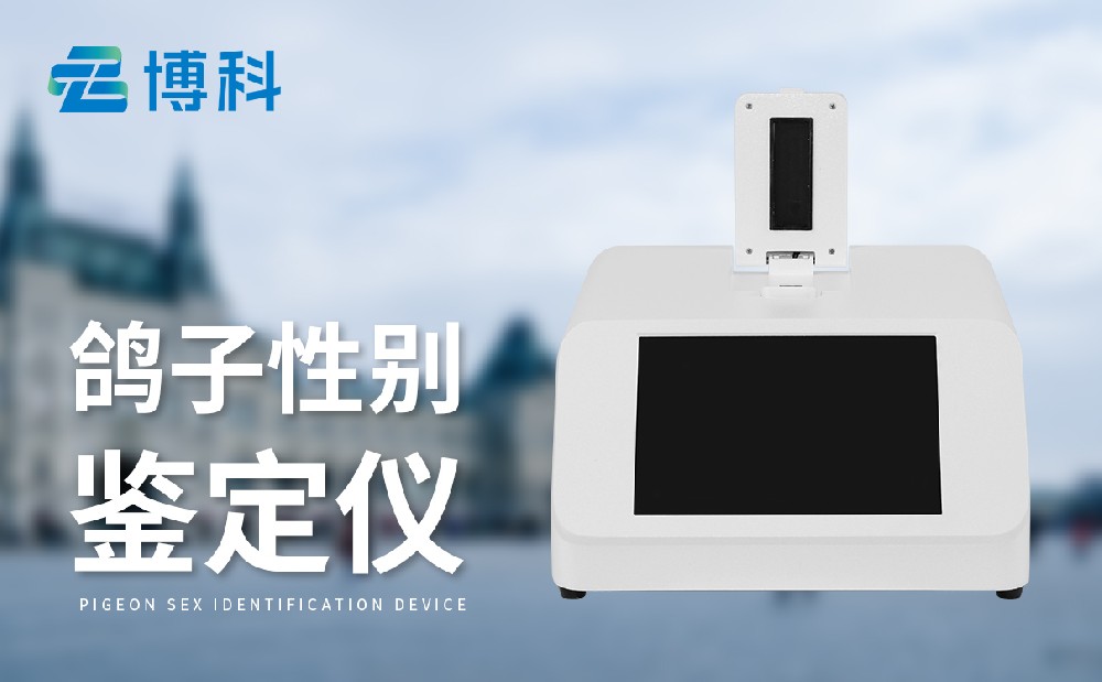 鴿子公母檢測儀